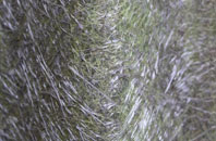 Coles Cross fibreglass roof work